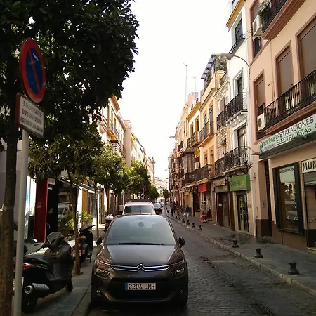 Malhara Seville